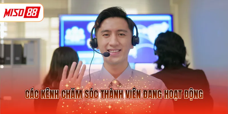 Các kênh chăm sóc thành viên đang hoạt động