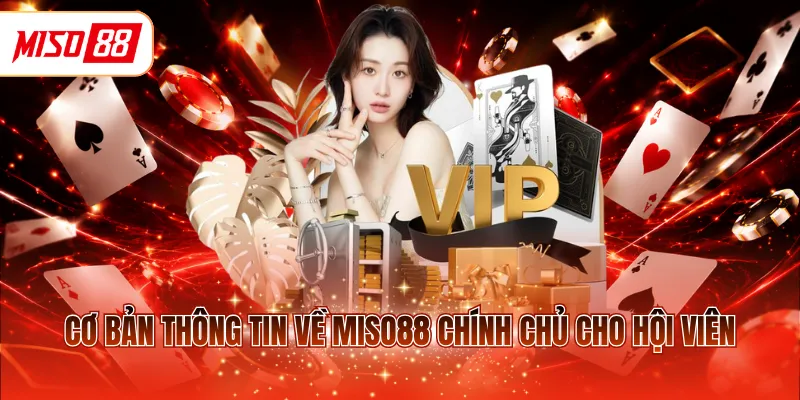 Cơ bản thông tin về MISO88 chính chủ cho hội viên