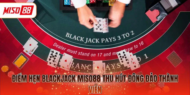 Điểm hẹn Blackjack MISO88 thu hút đông đảo thành viên 