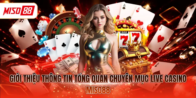 Giới thiệu thông tin tổng quan chuyên mục live casino MISO88