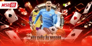 Kèo châu Âu MISO88