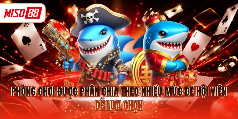 Phòng chơi được phân chia theo nhiều mức để hội viên dễ lựa chọn