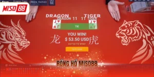 Rồng hổ MISO88