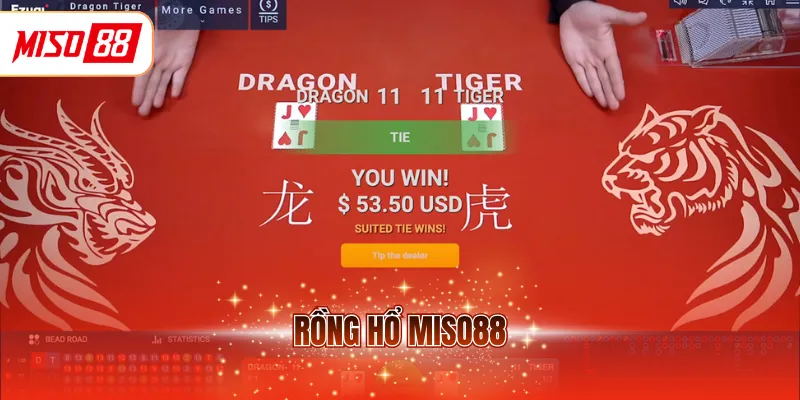 Rồng hổ MISO88