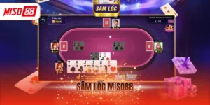 Sâm lốc MISO88