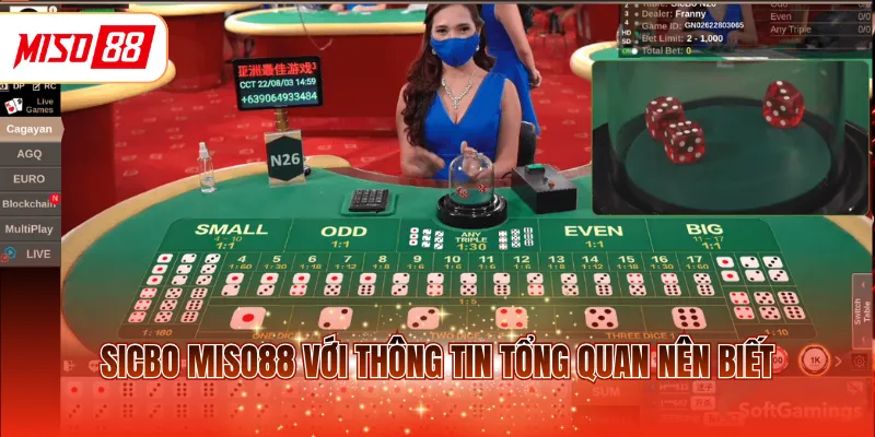 Sicbo MISO88 với thông tin tổng quan nên biết