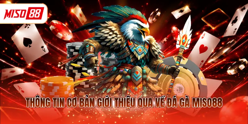 Thông tin cơ bản giới thiệu qua về đá gà MISO88