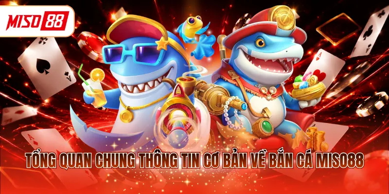 Tổng quan chung thông tin cơ bản về bắn cá MISO88